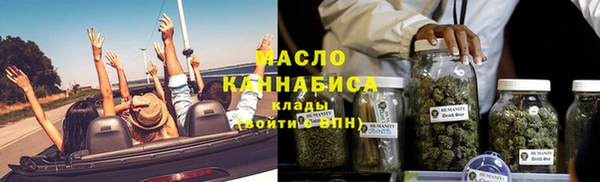 индика Балабаново