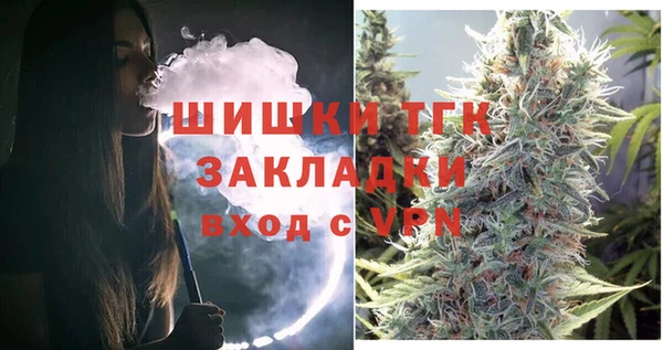 индика Балабаново