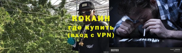 индика Балабаново