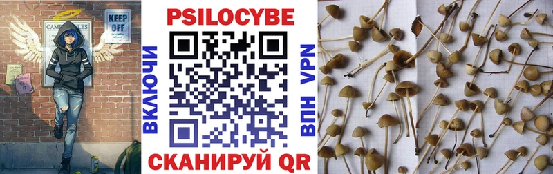 Псилоцибиновые грибы MAGIC MUSHROOMS закладка Невель